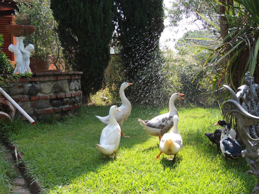 Il Cipresso Del Gallo モンテカティーニ・テルメ エクステリア 写真